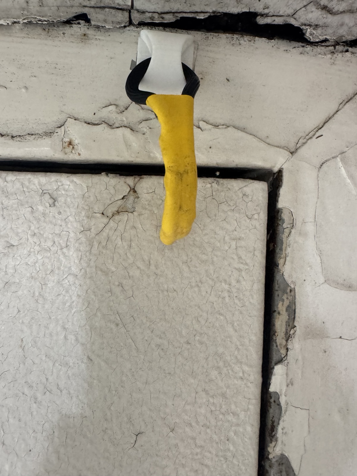 Backdoor Botfly deployed on a door frame, tail hanging into the gap