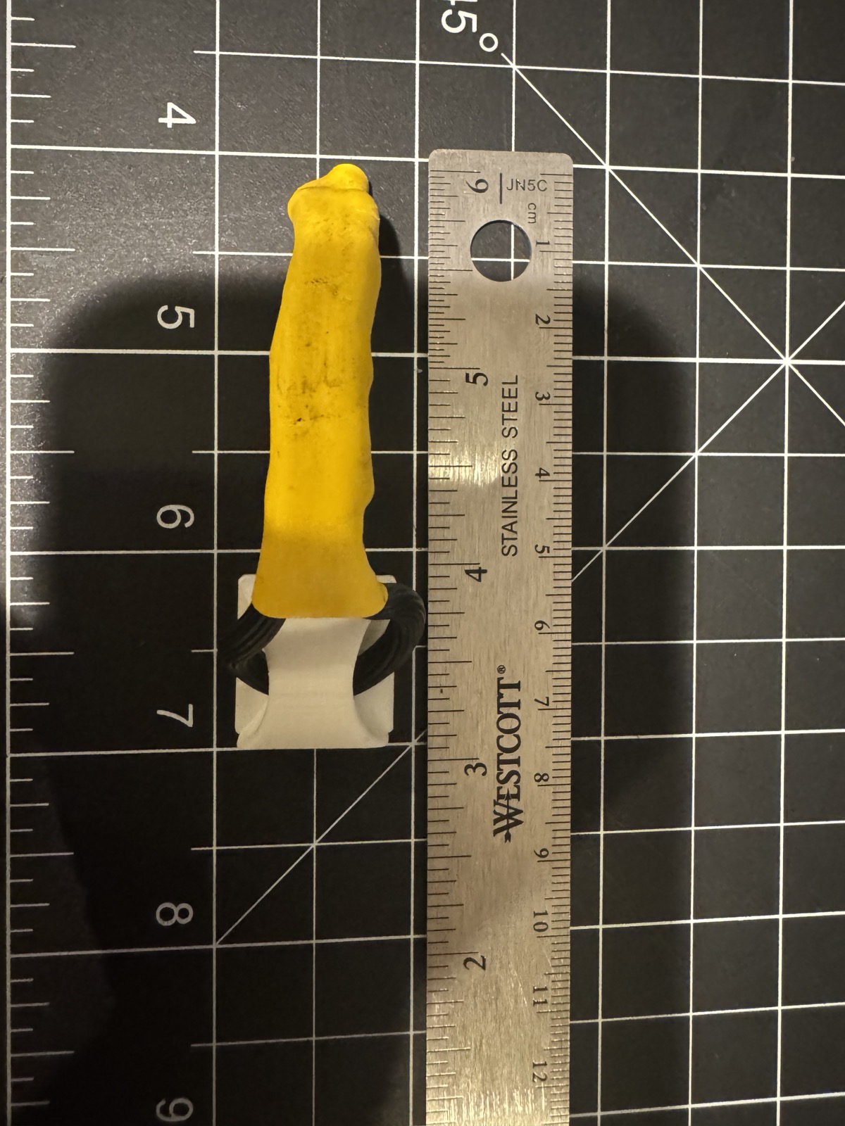 Backdoor Botfly tail, shown against a ruler for scale